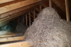 Straw piles in the attic